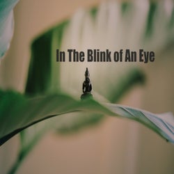 In the Blink of an Eye