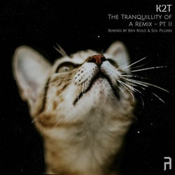 The Tranquillity of A Remix - Pt. II