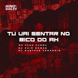Tu Vai Sentar no Bico do AK