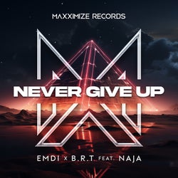 Never Give Up (feat. NAJA) [Extended Mix]