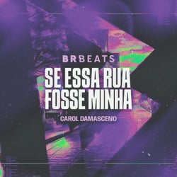 Se Essa Rua Fosse Minha (Extended)