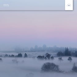 Spring Fog