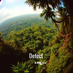 Defect