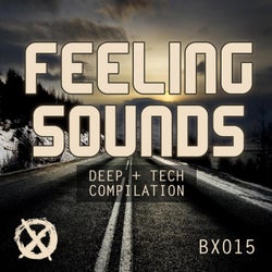 Feeling Sounds Vol.1