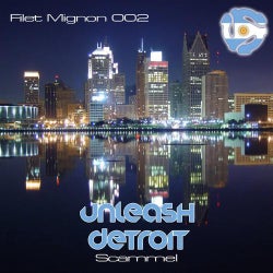 Unleash Detroit