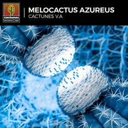 VA Melocactus Azureus 2024