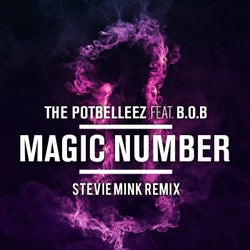 Magic Number (Stevie Mink Extended Remix)