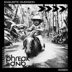 Exquisite Diversion