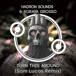 Turn This Around (Sam Lucas Remix)