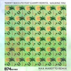 Walking You(Max Marotto Remix)