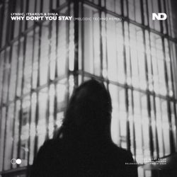 Why Don't You Stay (Melodic Techno Remix)