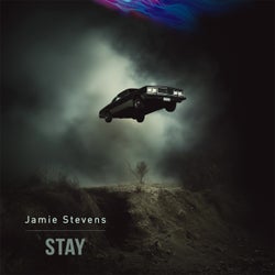 Stay (The Mixes)