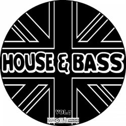 House & Bass, Vol. 7