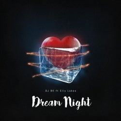 Dream Night (feat. Elly Lakes)