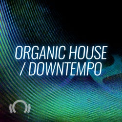 In The Remix: Organic House / Downtempo 
