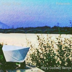 Polaroids (Rory Godson Remix)