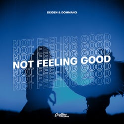 Not Feelin Good (Extended Mix)