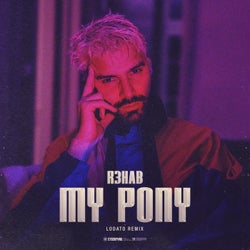 My Pony (LODATO Remix Extended Version)