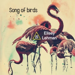Song of Birds EP
