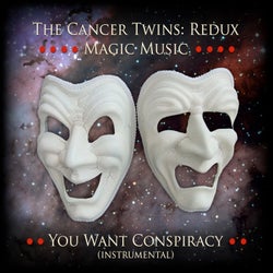 You Want Conspiracy (Instrumental) (feat. HARRY GREGG BASS & BEATS & TEDDY BOROWIECKI ORGAN)