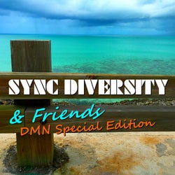 Sync Diversity & Friends(DMN Special Edition)