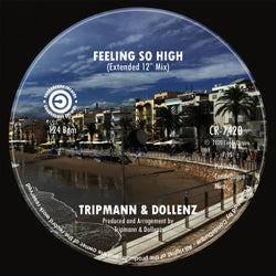 Feeling So High (Extended 12" Mix)