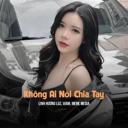 Không Ai Nói Chia Tay (Huy PT Remix)