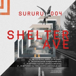 Shelter Ave