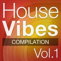 Mettle Music Presents House Vibes Vol 1