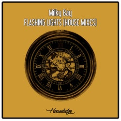 Flashing Lights (House Mixes)