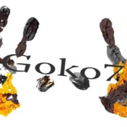 Goko7 - New Beggining