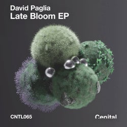 Late Bloom