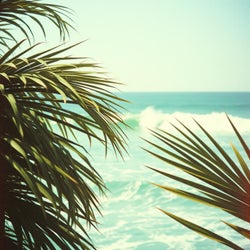 Island Vibe Loop Riddim