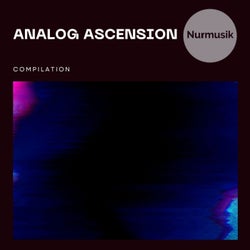 Analog Ascension