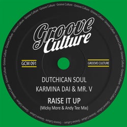 Raise It Up (Micky More & Andy Tee Disco Mix)
