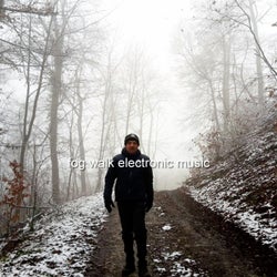 fog walk electronic music