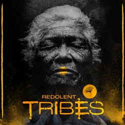 Redolent Tribes, Vol.4 (Curated by DJ Chus)