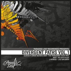 Divergent Paths Volume 1