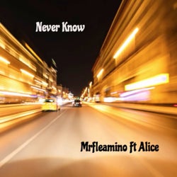 Never Know (feat. Alice)