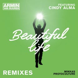 Beautiful Life - Remixes