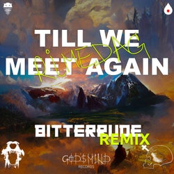 Till We Meet Again (BitterRude Remix)