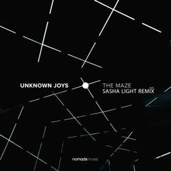 Cover art for The Maze