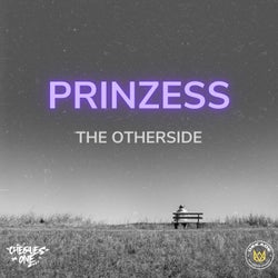 THE OTHERSIDE (feat. PRINZESS)