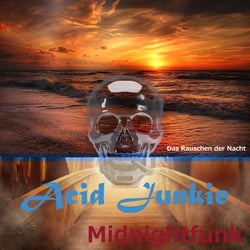 Acid Junkie