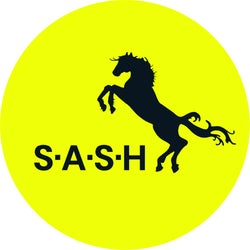 S.A.S.H.