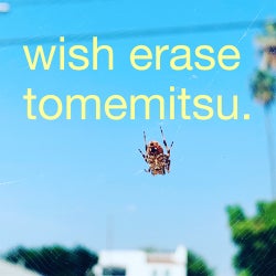 Wish Erase