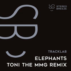 Elephants (Toni The MmG Remix)