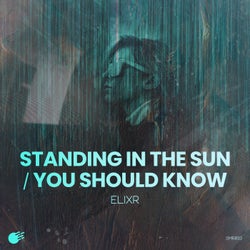 Standing in the Sun/You Should Know