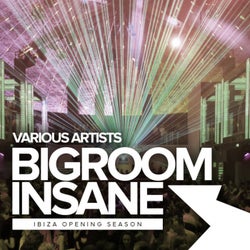 Bigroom Insane: Ibiza Opening Season