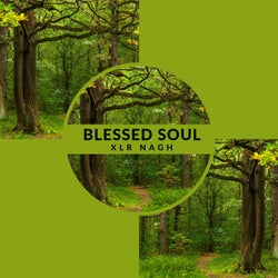 Blessed Soul